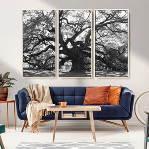 Ancient Oak Wall Art Canvas Print, Majestic Twisted Branches