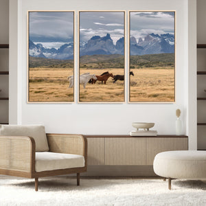 Grand Teton Park Wild Horses Wall Art Canvas Print – Framed