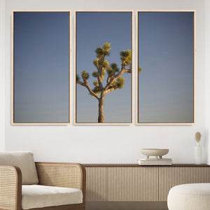 Joshua Tree Wall Art Canvas Print – Framed Southwestern