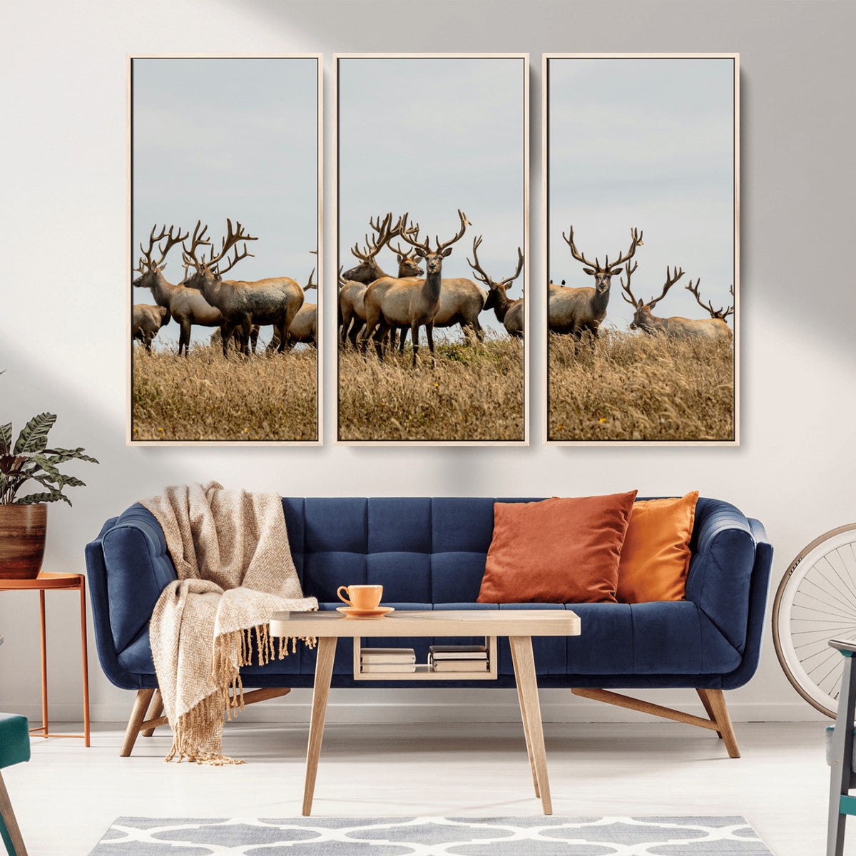 Elk Herd Wall Art Canvas Print – Framed Wildlife Photography