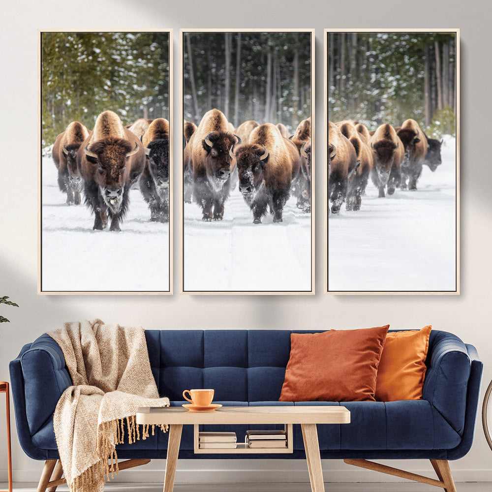American Bison Herd Wall Art Canvas Print – Powerful Winter