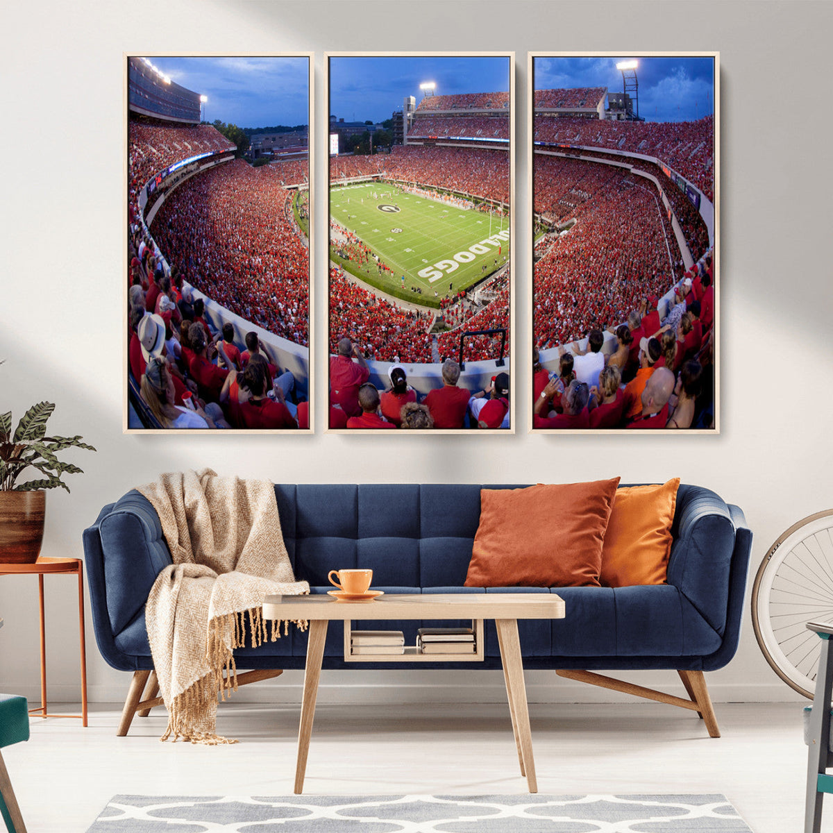 Dooley Stadium Wall Art, Sports Arena Canvas Print, Dooley