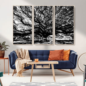 Mighty Angel Oak Wall Art | Angel Oak Tree Art Print