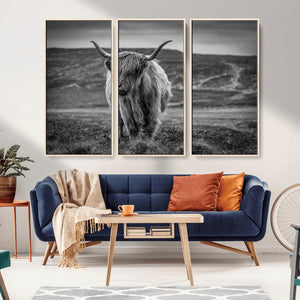 Fluffy Cattle Wall Art Print, Highland Cow Canvas, Framed