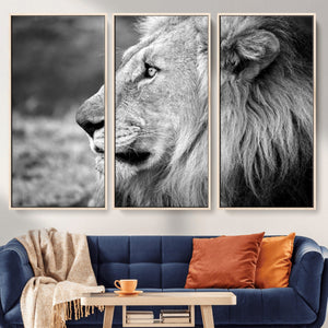 Lion Wall Art Canvas Print – Framed Majestic Wildlife