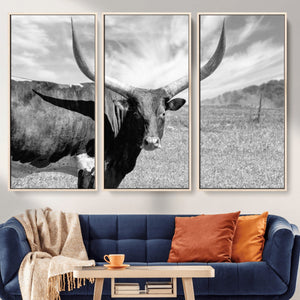 Cattle Wall Art Longhorn Cow Canvas Print