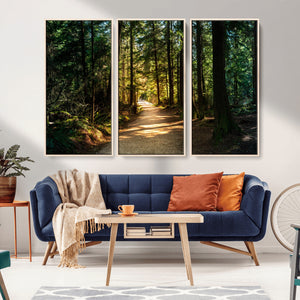 Sunlit Forest Pathway Canvas Print | 3 Panel Large Nature