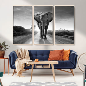 Black and White Elephant Wall Art Canvas Print