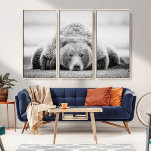 Resting Grizzly Bear Wall Art Canvas Print – Majestic Lazy