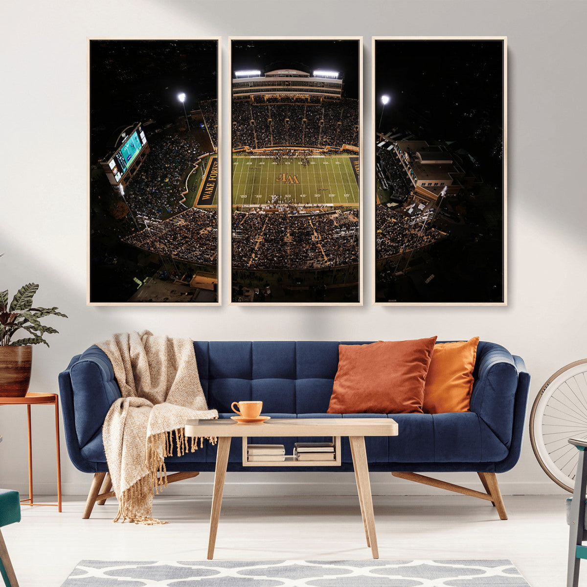 Wake Forest University Demon Deacons Canvas Printi, Football