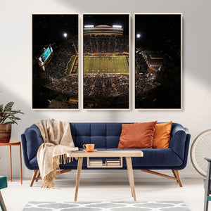 Wake Forest University Demon Deacons Canvas Printi, Football