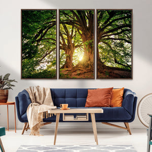 Majestic Ancient Tree Wall Art, NatureCanvas Print, Woodland