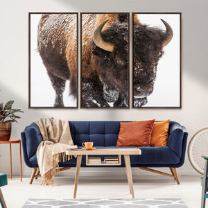 Bison Wall Art Canvas Print For Farmhouse, Wild Animal Wall