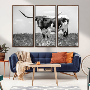 Texas Black White Highland Longhorn Cow Wall Art Canvas
