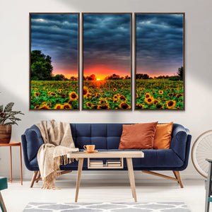 Golden Sunflower Field at Sunset – Breathtaking Sky and