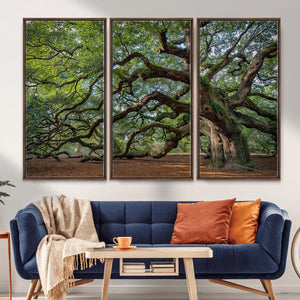 Historic Tree Wall Art – Framed Mossy Branch Canvas Artwork,