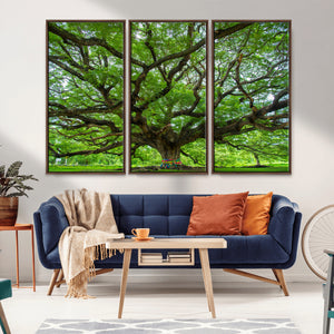 Oak Tree Wall Art Print, Forest Canvas Wall Art for Home and