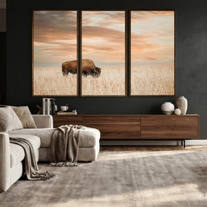 MyCanvas -
