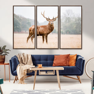 Vintage Wildlife Wall Art Canvas Print – Misty Landscape