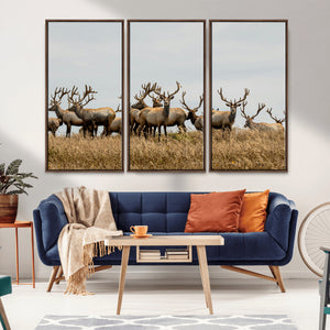Elk Herd Wall Art Canvas Print – Framed Wildlife Photography