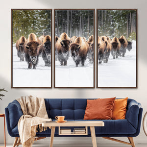 American Bison Herd Wall Art Canvas Print – Powerful Winter