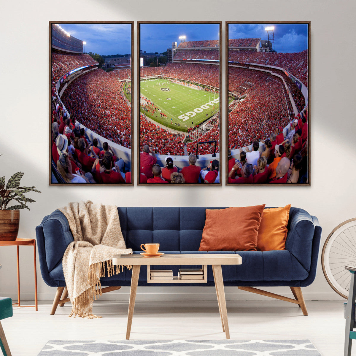 Dooley Stadium Wall Art, Sports Arena Canvas Print, Dooley