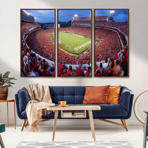 Dooley Stadium Wall Art, Sports Arena Canvas Print, Dooley
