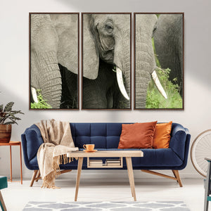 Wild Elephant Wall Art Canvas Print