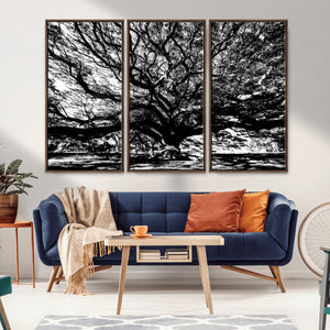 Mighty Angel Oak Wall Art | Angel Oak Tree Art Print