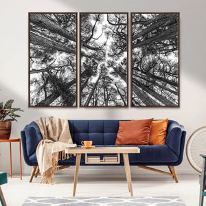 Trees Contemporary Art Canvas Print