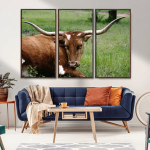 Longhorn Cow Animal Wall Art Canvas Print