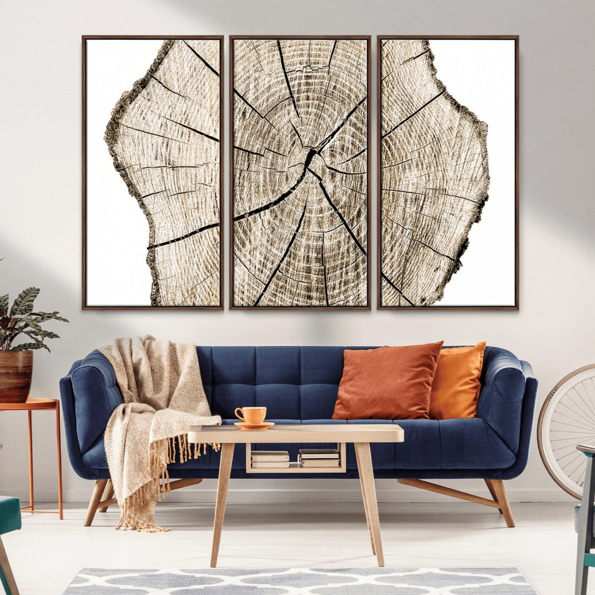 Abstract Wood Tree Ring Wall Art - Ready to Hang Minimalist