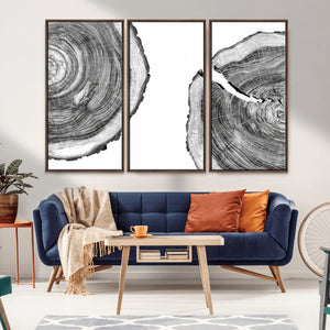 Abstract Large Tree Rings – Minimalist Black and White Wood