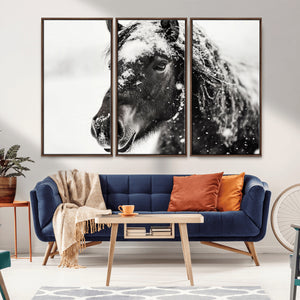 Framed Black and White Horse Wall Art | Ready to Hang and