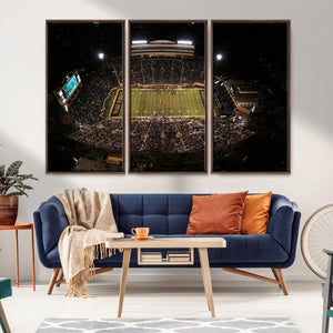 Wake Forest University Demon Deacons Canvas Printi, Football