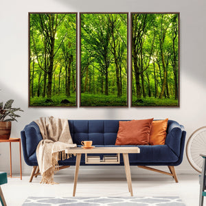 Lush Green Forest Canvas Print | 3-Panel Forest Wall Art |