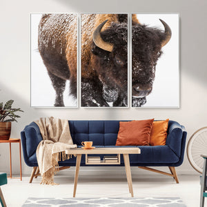 Bison Wall Art Canvas Print For Farmhouse, Wild Animal Wall