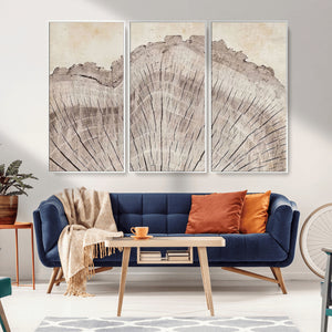 Tree Ring Wall Art Triptych, Rustic Wood Ring Canvas Print,