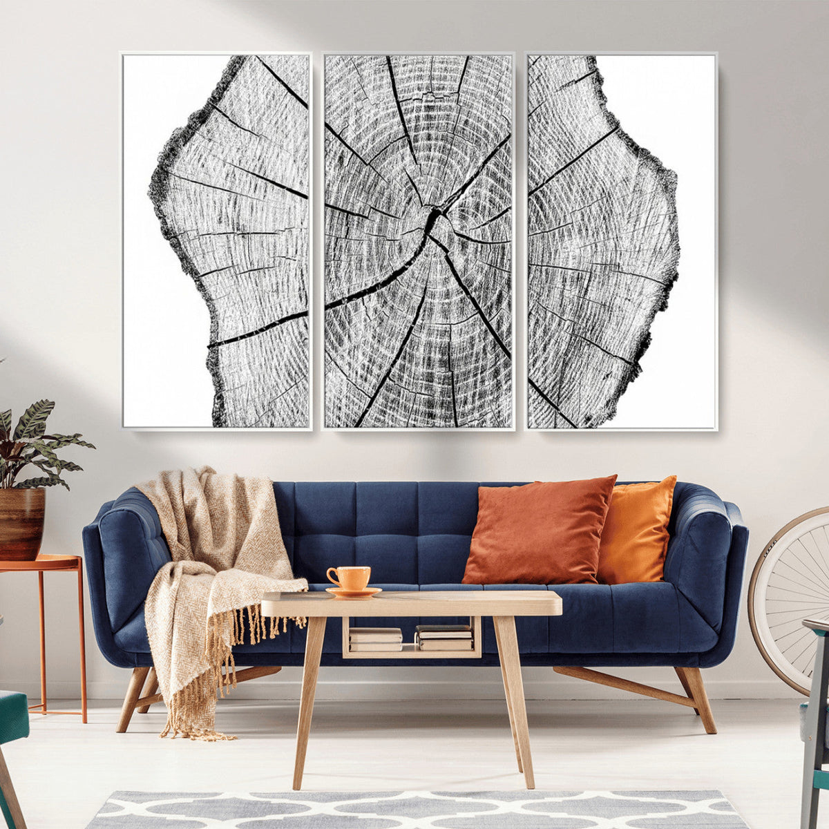 Rustic Tree Ring Wall Art Canvas Print – Framed and Ready to