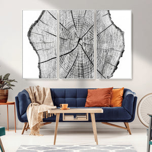 Rustic Tree Ring Wall Art Canvas Print – Framed and Ready to