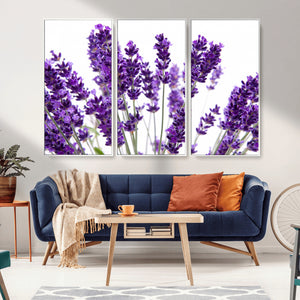 Lavender Flower Wall Art Canvas Print