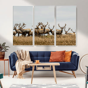 Elk Herd Wall Art Canvas Print – Framed Wildlife Photography