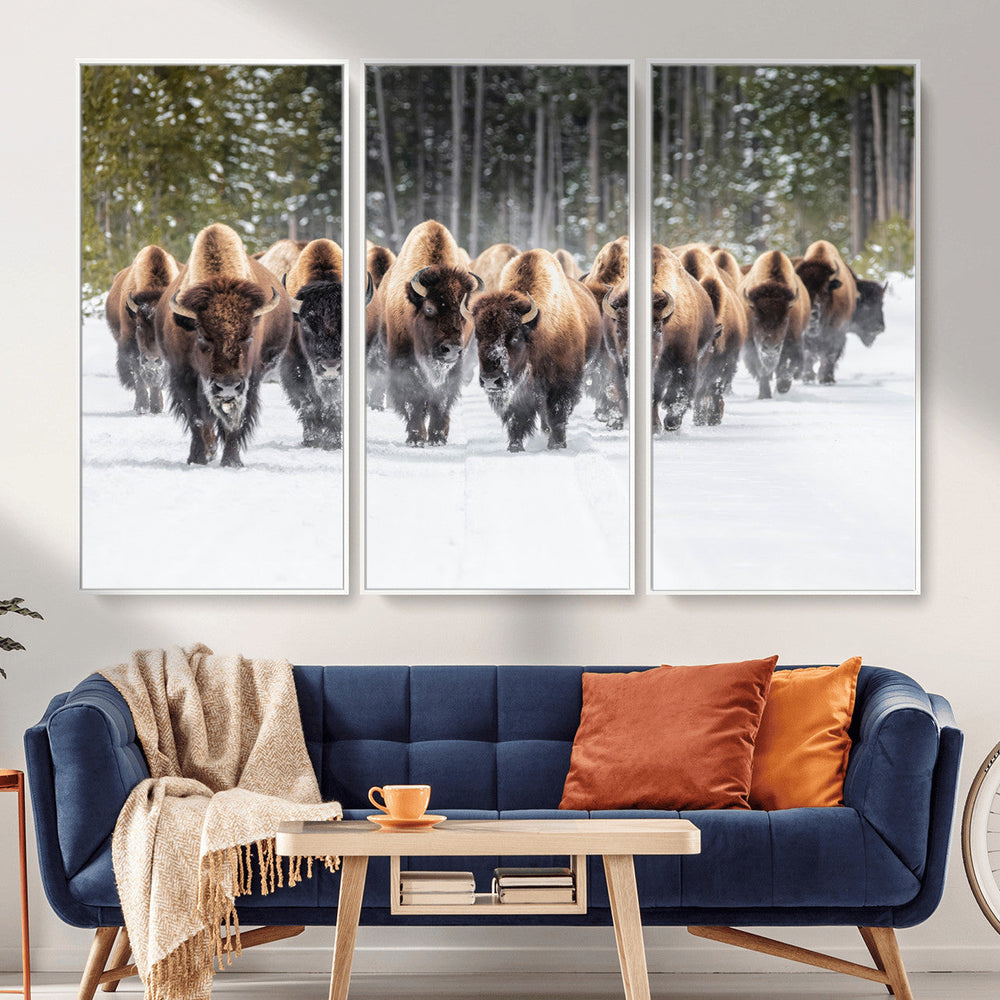 American Bison Herd Wall Art Canvas Print – Powerful Winter