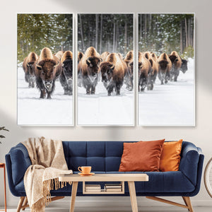American Bison Herd Wall Art Canvas Print – Powerful Winter