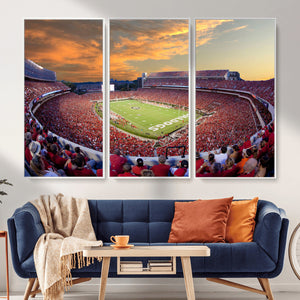 Dooley Stadium Wall Art, Sports Arena Canvas Print, Dooley