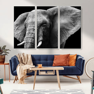 Big Elephant Close Up Wall Art Canvas Print