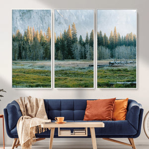 Forest Meadow Wall Art Canvas Print, Pine Tree Landscape