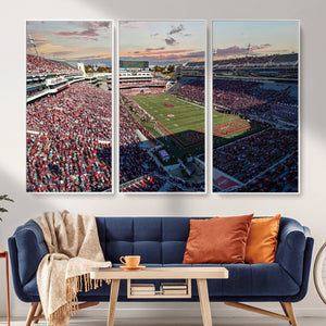 Donald W. Reynolds Razorback Stadium Wall Art Canvas Print –