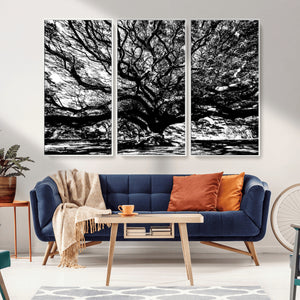 Mighty Angel Oak Wall Art | Angel Oak Tree Art Print