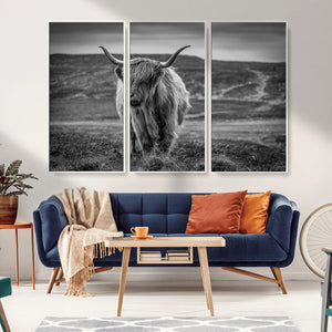 Fluffy Cattle Wall Art Print, Highland Cow Canvas, Framed